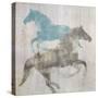 Equine I-Dan Meneely-Stretched Canvas