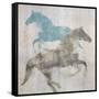 Equine I-Dan Meneely-Framed Stretched Canvas