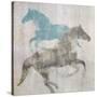 Equine I-Dan Meneely-Stretched Canvas