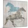 Equine I-Dan Meneely-Mounted Art Print