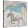 Equine II-Dan Meneely-Stretched Canvas