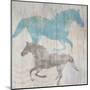 Equine II-Dan Meneely-Mounted Art Print