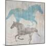 Equine II-Dan Meneely-Mounted Art Print