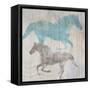 Equine II-Dan Meneely-Framed Stretched Canvas