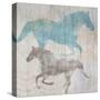 Equine II-Dan Meneely-Stretched Canvas
