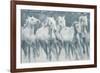 Equine Journey-Stacy D'Aguiar-Framed Art Print