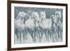 Equine Journey-Stacy D'Aguiar-Framed Art Print