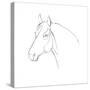 Equine Pencil Contour III-Emma Scarvey-Stretched Canvas