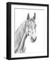 Equine Portrait Sketch I-Annie Warren-Framed Art Print