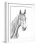 Equine Portrait Sketch I-Annie Warren-Framed Art Print