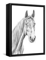 Equine Portrait Sketch I-Annie Warren-Framed Stretched Canvas