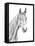 Equine Portrait Sketch I-Annie Warren-Framed Stretched Canvas