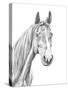 Equine Portrait Sketch I-Annie Warren-Stretched Canvas