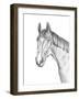 Equine Portrait Sketch II-Annie Warren-Framed Art Print