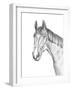 Equine Portrait Sketch II-Annie Warren-Framed Art Print