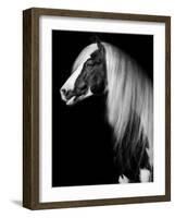 Equine Portrait VII-null-Framed Photographic Print