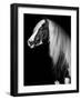 Equine Portrait VII-null-Framed Photographic Print