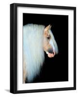 Equine Portrait VIII-null-Framed Photographic Print