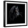 Equine Portrait XI-null-Framed Photographic Print