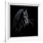 Equine Portrait XI-null-Framed Photographic Print