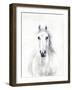 Equine Portrait-Janie Howe-Framed Giclee Print