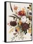 Equinox Bouquet I-Grace Popp-Framed Stretched Canvas