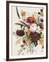 Equinox Bouquet I-Grace Popp-Framed Art Print