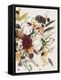 Equinox Bouquet II-Grace Popp-Framed Stretched Canvas