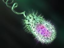 Nanotube Drug Delivery, Artwork-Equinox Graphics-Photographic Print