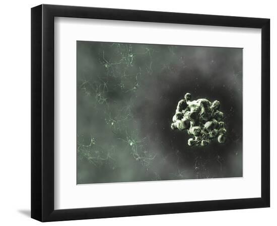 Premium Photographic Print, , large