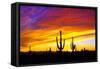 Equinox Sunset-Douglas Taylor-Framed Stretched Canvas