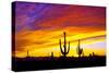 Equinox Sunset-Douglas Taylor-Stretched Canvas