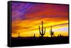 Equinox Sunset-Douglas Taylor-Framed Stretched Canvas