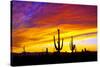 Equinox Sunset-Douglas Taylor-Stretched Canvas