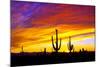 Equinox Sunset-Douglas Taylor-Mounted Photographic Print