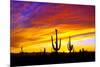 Equinox Sunset-Douglas Taylor-Mounted Photographic Print