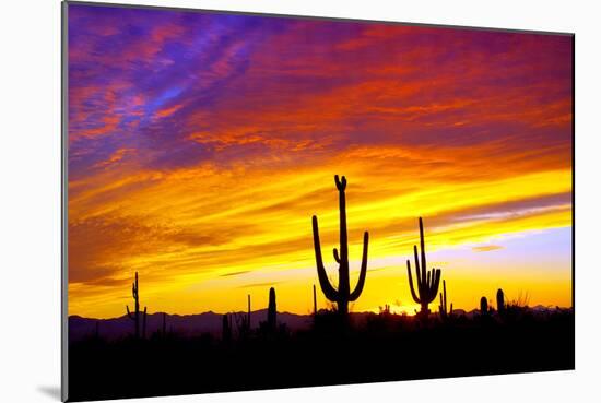 Equinox Sunset-Douglas Taylor-Mounted Photographic Print