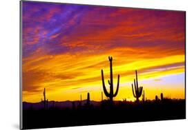 Equinox Sunset-Douglas Taylor-Mounted Photographic Print