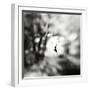 Equinox-Hengki Lee-Framed Photographic Print