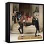 Equipement complet pour cheval-null-Framed Stretched Canvas