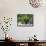 Equipment Operator Gathers a Load of Gravel On Camp Johnson-Stocktrek Images-Framed Stretched Canvas displayed on a wall