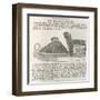 Equipment Queen Victoria's Skates Manufactured by Marsden Brothers and Silverwood of Sheffield-null-Framed Art Print