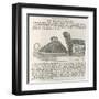 Equipment Queen Victoria's Skates Manufactured by Marsden Brothers and Silverwood of Sheffield-null-Framed Art Print