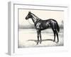 Equipose; The Ideal-C.W. Anderson-Framed Art Print