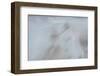 Equis I-Doug Chinnery-Framed Photographic Print