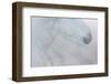 Equis II-Doug Chinnery-Framed Photographic Print