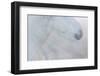 Equis II-Doug Chinnery-Framed Photographic Print