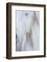 Equis IV-Doug Chinnery-Framed Photographic Print