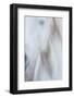 Equis IV-Doug Chinnery-Framed Photographic Print