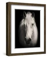 Equus 1-THE Studio-Framed Giclee Print